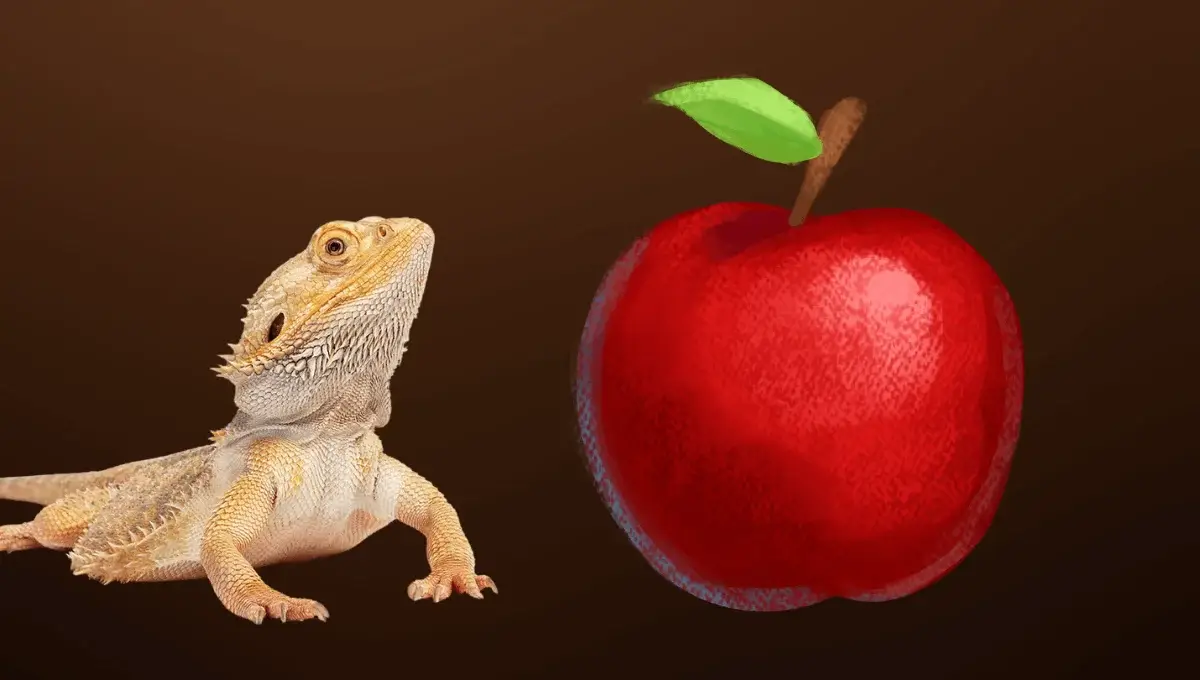 Can Bearded Dragon Eat apple