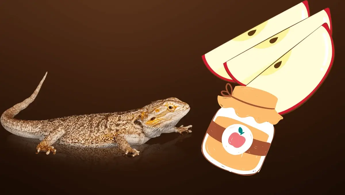 Can bearded Dragon eat applesauce