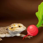 can bearded dragons eat radish